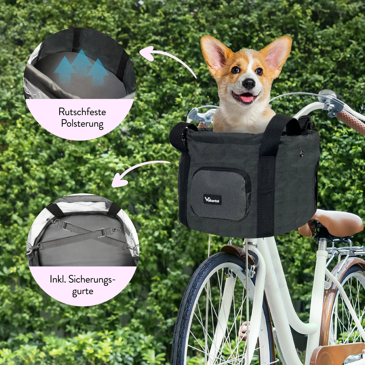 VALKENTAL HONDEN FIETSMAND met hond in de mand