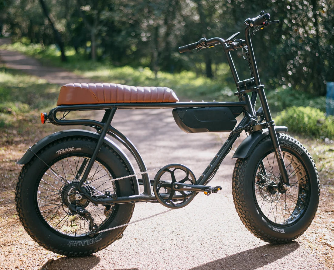 DELIUM Thundr - voor en achter gemonteerd op fat bike