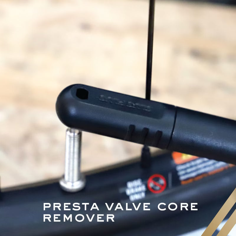 Ryder Innovation Slug Plug - en een valve core remover inbegrepen