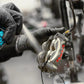 MUC-OFF Disc Brake Cleaner  – hier worden de remblokken ontvet