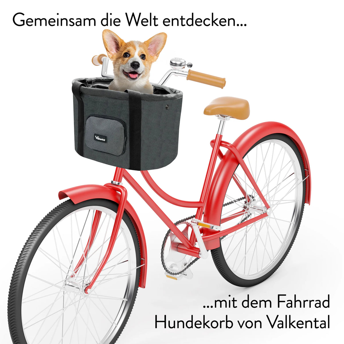 VALKENTAL HONDEN FIETSMAND met hond in de mand